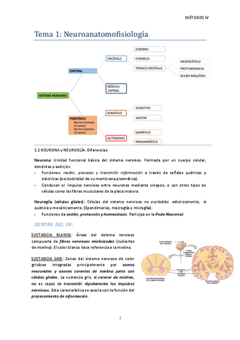 TEMA-1.pdf