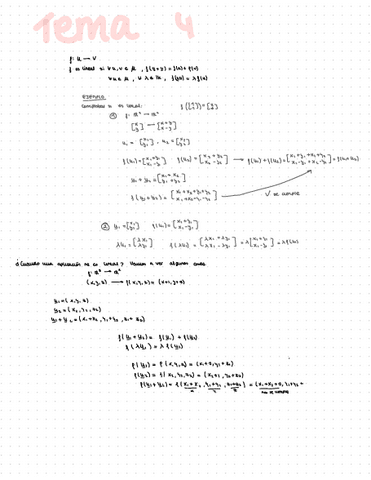 Aplicaciones-Lineales.pdf