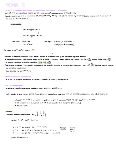 Tema-1-ALG-II.pdf