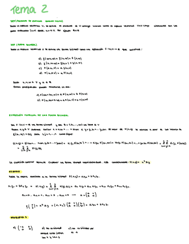 Tema-2-ALG-II.pdf