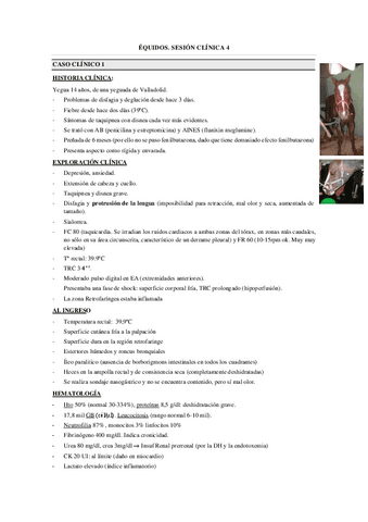 SESIONES-CLINICAS-EQ.-4.-con-cuestionario.pdf