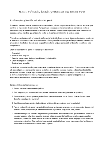 derecho-penal-parte-general.pdf