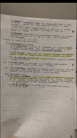 4735FADF-EB43-40F7-B4CF-990FB25A87B5.png