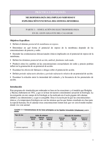 Practica-MOD2-NeurosimHH-y-Exploracion-Sensorial-Somatica.pdf