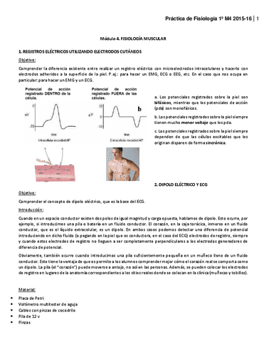 Protocolo-practica.pdf