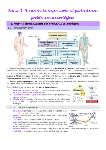 3.1.-Valoracion-del-paciente-con-problemas-neurologicos.pdf