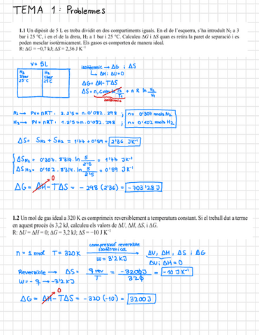 Tema-1-problemes-i-preguntes-complet.pdf
