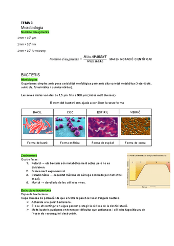 TEMA-3-MICROBIOLOGIA.pdf