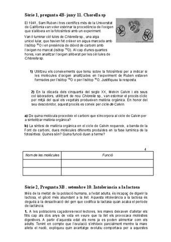 Preguntes-metabolisme-PAU.pdf