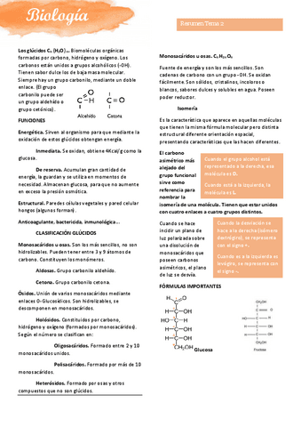 Glucidos-tema-resumido.pdf