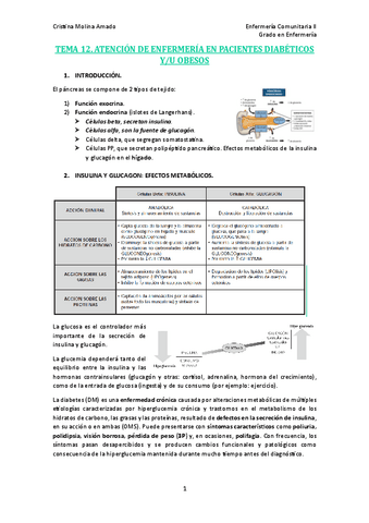 TEMA-12.-ATENCION-DE-ENFERMERIA-EN-PACIENTES-DIABETICOS-YU-OBESOS.pdf