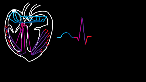 Instr.-design-heart-abnormalities.pdf