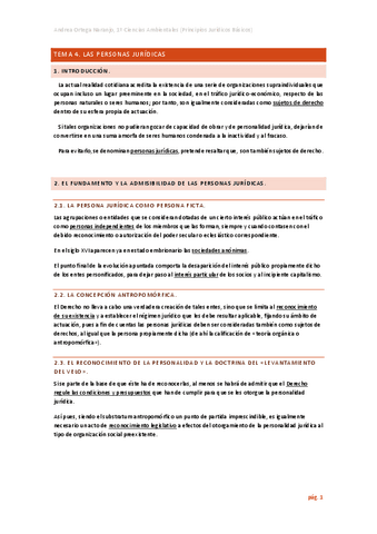Tema-4-La-persona-juridica-resumido.pdf
