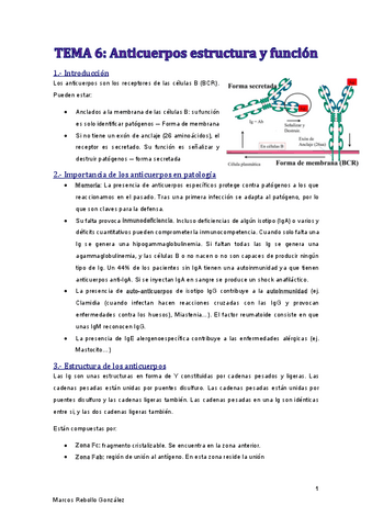 TEMA-6.pdf