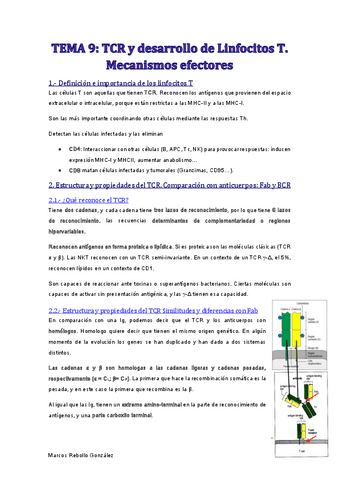 TEMA-9.pdf