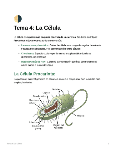 La-Celula.pdf