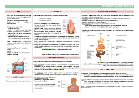 Micro6.2-Microbiota.pdf