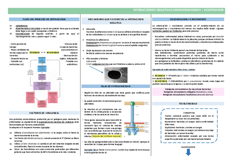 Micro6.3-Interacciones-MO-y-hospedador.pdf