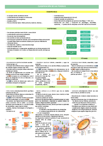 Micro6.4-Clasificacion-de-las-toxinas.pdf