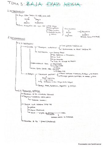 Esquema-Baja-Edad-Media-2-Bachillerato.pdf