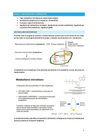 Tema-6.pdf