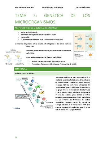 Microbiologia-Tema-5-completo-Partes-12-y-3.pdf