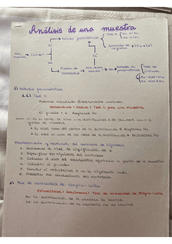 ESQUEMAS-ESTADISTICA.pdf