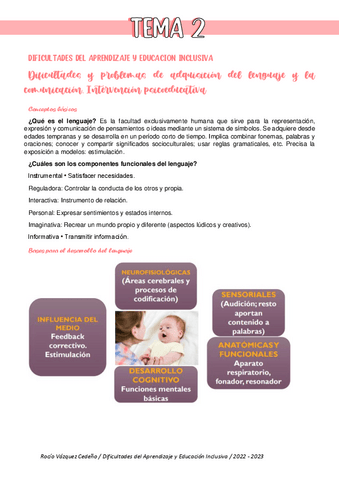 Tema-2-Dificultades-del-Aprendizaje-y-Educacion-Inclusiva.pdf