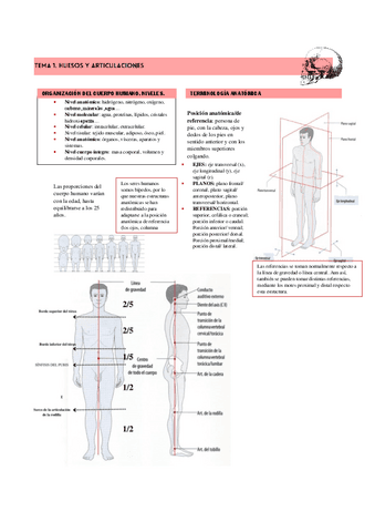 APARATO-LOCOMOTOR-v1.pdf