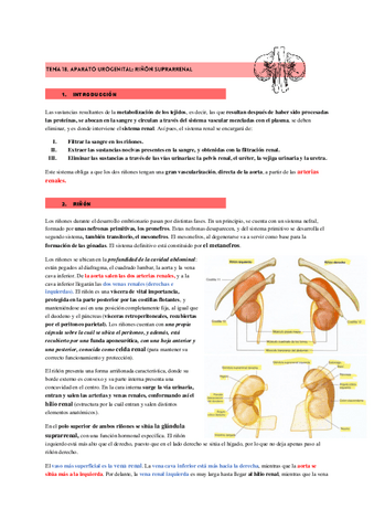 APARATO-UROGENITAL.pdf