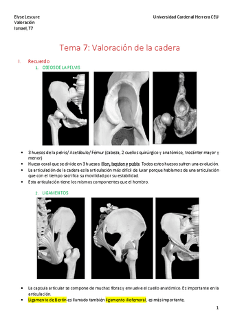 Valo-Isma-CADERA-Tema-7.pdf