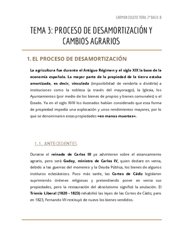 TEMA-3-DESAMORTIZACIONES.pdf