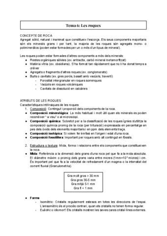 Tema-6-Les-roques.pdf