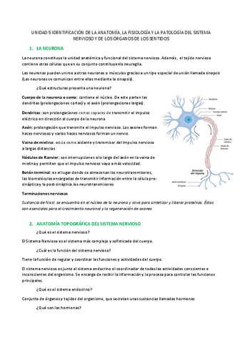 SISTEMA-NERVIOSO-Y-DE-LOS-ORGANOS-DE-LOS-SENTIDOS.pdf
