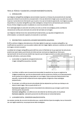 TEMA-13.pdf
