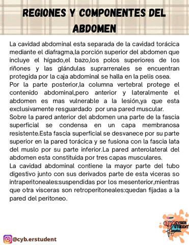 REGIONES-Y-COMPONENTES-DEL-ABDOMEN.pdf