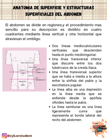 ANATOMIA-Y-ESTRUCTURAS-SUPERFICIALES-DEL-ABDOMEN.pdf