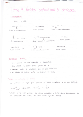 Tema 9.Ácidos carboxílicos y derivados.pdf