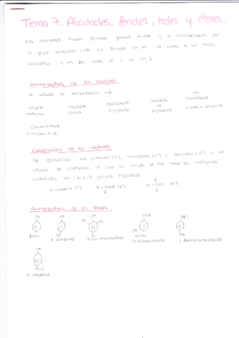 Tema 7. Alcoholes- fenoles, tioles y éteres.pdf