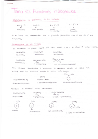 Tema 10. Funciones nitrogenadas.pdf
