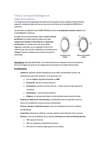 Tema-2-Conceptos-Zoologicos-II.pdf