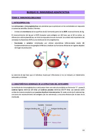III - Inmunidad adquirida.pdf