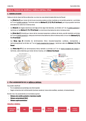 TEMA 8 - Tronco del encéfalo y médula espinal (Vías).pdf