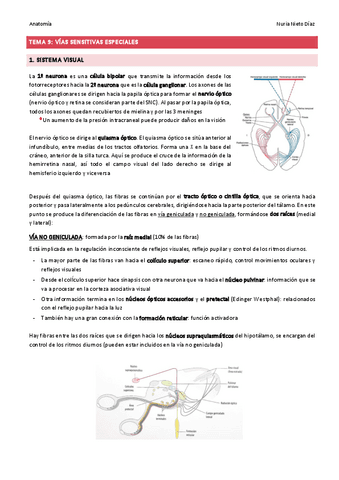 TEMA 9 - Vías sensitivas especiales.pdf