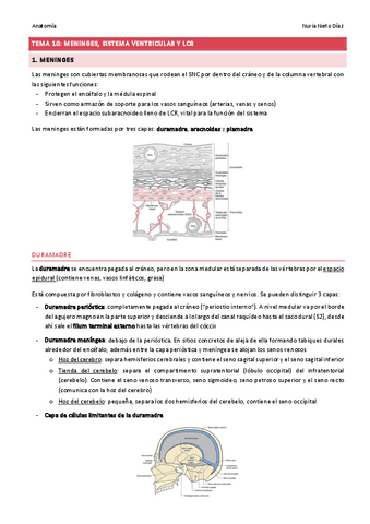 TEMA 10 - Meninges, sistema ventricular y LCR.pdf