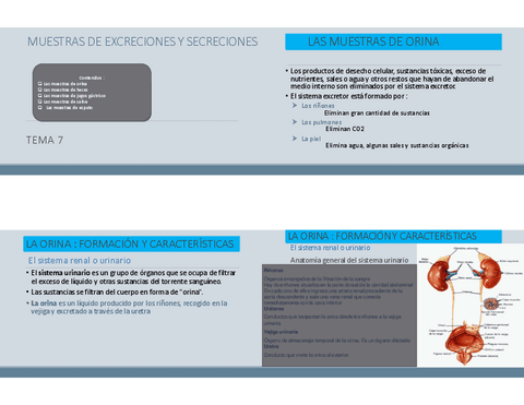 TEMA-7-MUESTRAS-DE-EXCRECIONES-Y-SECRECIONES.pdf