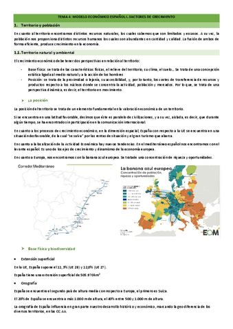 TEMA-4.pdf