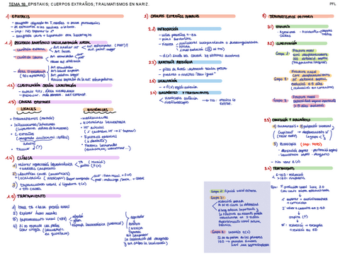 Tema-18.-OTR.-PFL.pdf