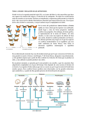 apuntes-entomologia-2021.pdf