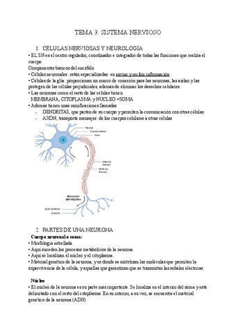 TEMA-3-PSICOBIOLOGIA.pdf